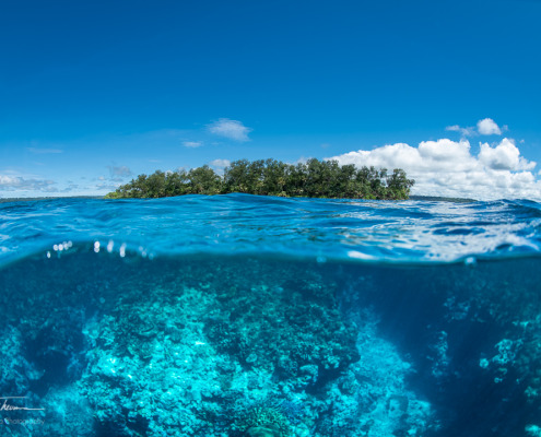 Santo east coast credit Pacific Dive Santo