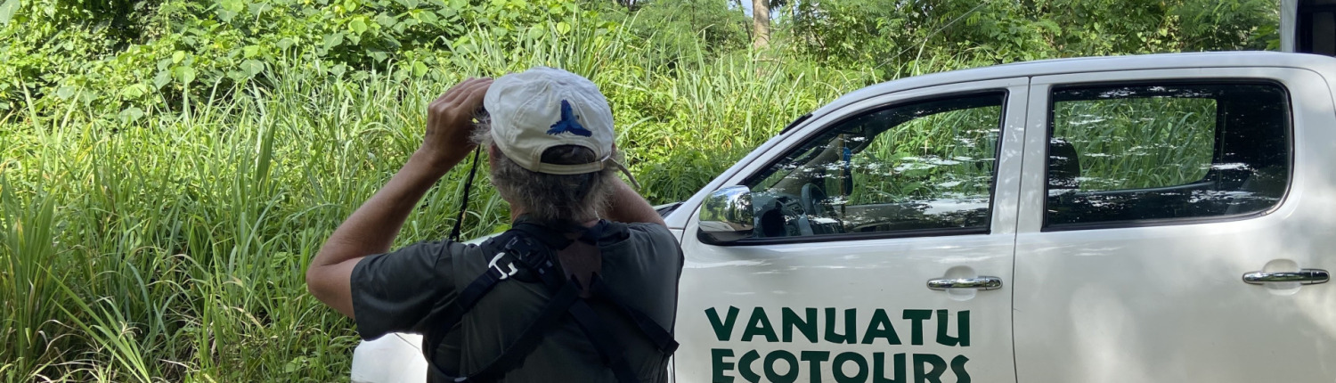 birding tour birding tour
